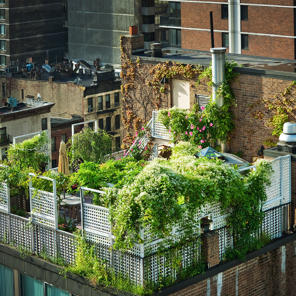 Circular Views – Episode VI – Circular buildings