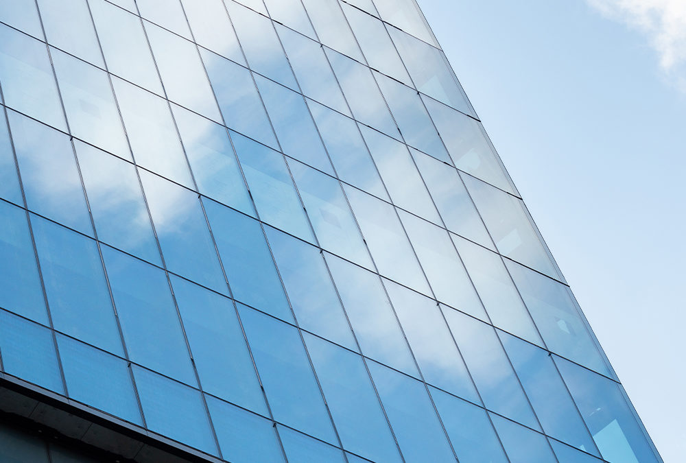 Turning ESG Strategy into Common Ground and Driving Business Growth – Transformative Leadership in Business: Episode 8